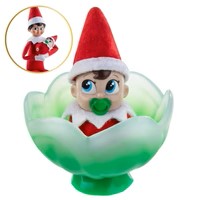 Frost Pips™ Mini Blooms